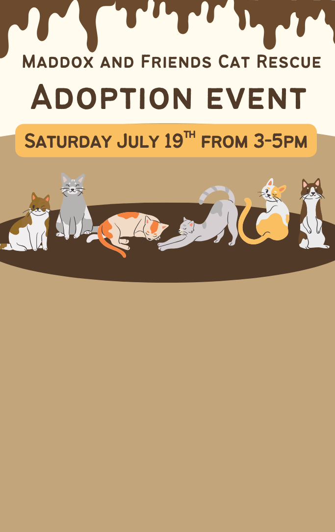 Information on the adoption event with 6 cats sitting on a brown rug
